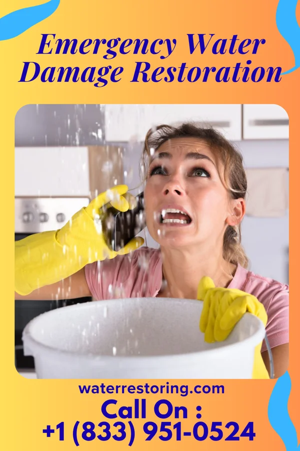 Emergency Water Damage Restoration in Slate Springs, MS