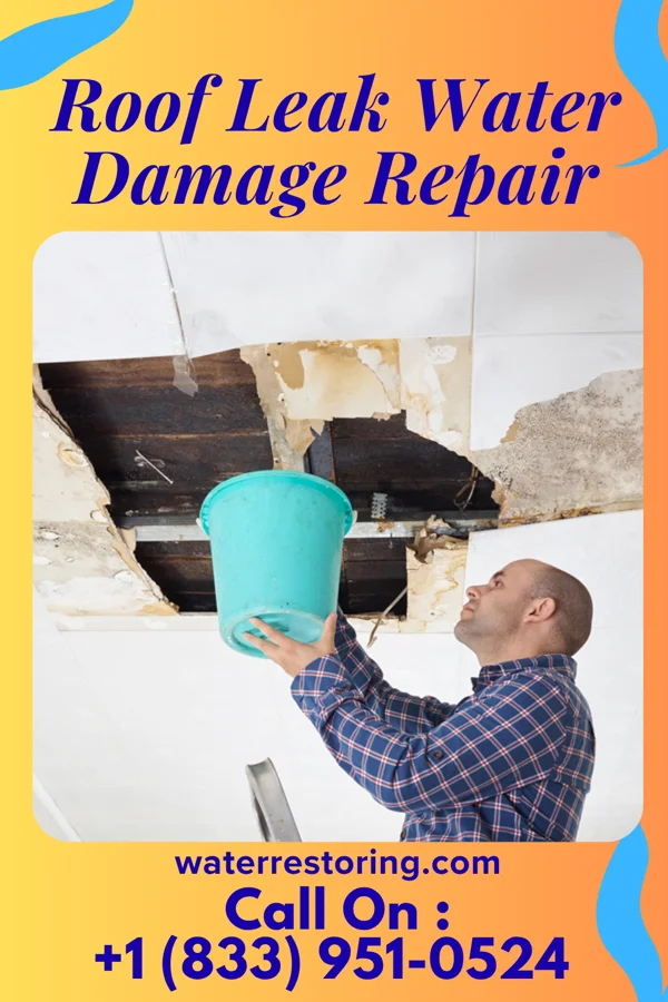 Roof Leak Water Damage Repair in Slate Springs, MS