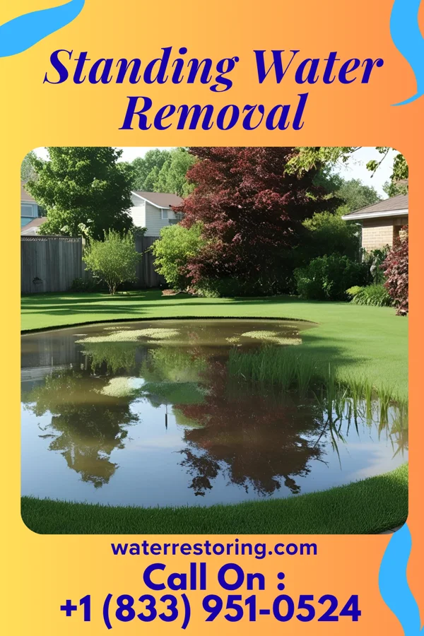 Standing Water Removal in Slate Springs, MS